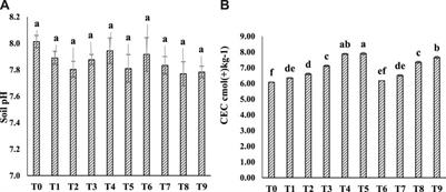 The Efficacy of Organic Amendments on Maize Productivity, Soil Properties and Active Fractions of Soil Carbon in Organic-Matter Deficient Soil